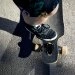 logo-Skatepark