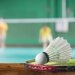 logo-COSMO SPORTS - Badminton