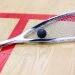 logo-Sportcenter Hemmingen - Squash