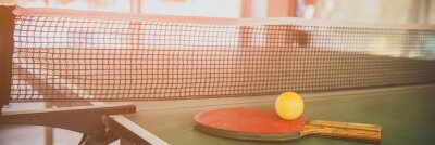 Tischtennisplatten