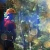 Logo CLIMB UP! Kletterwelten Strausberg
