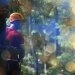 logo-CLIMB UP! Kletterwelten