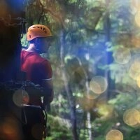 Logo Kletterwald Wuhlheide