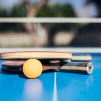 Logo Tischtennisplatten